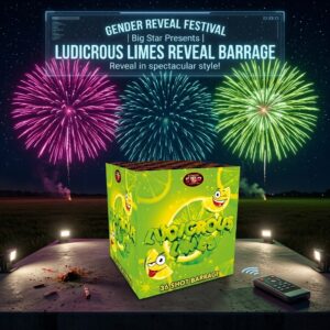 Ludicrous Limes | 36 Shot Barrage | Bright Star Fireworks